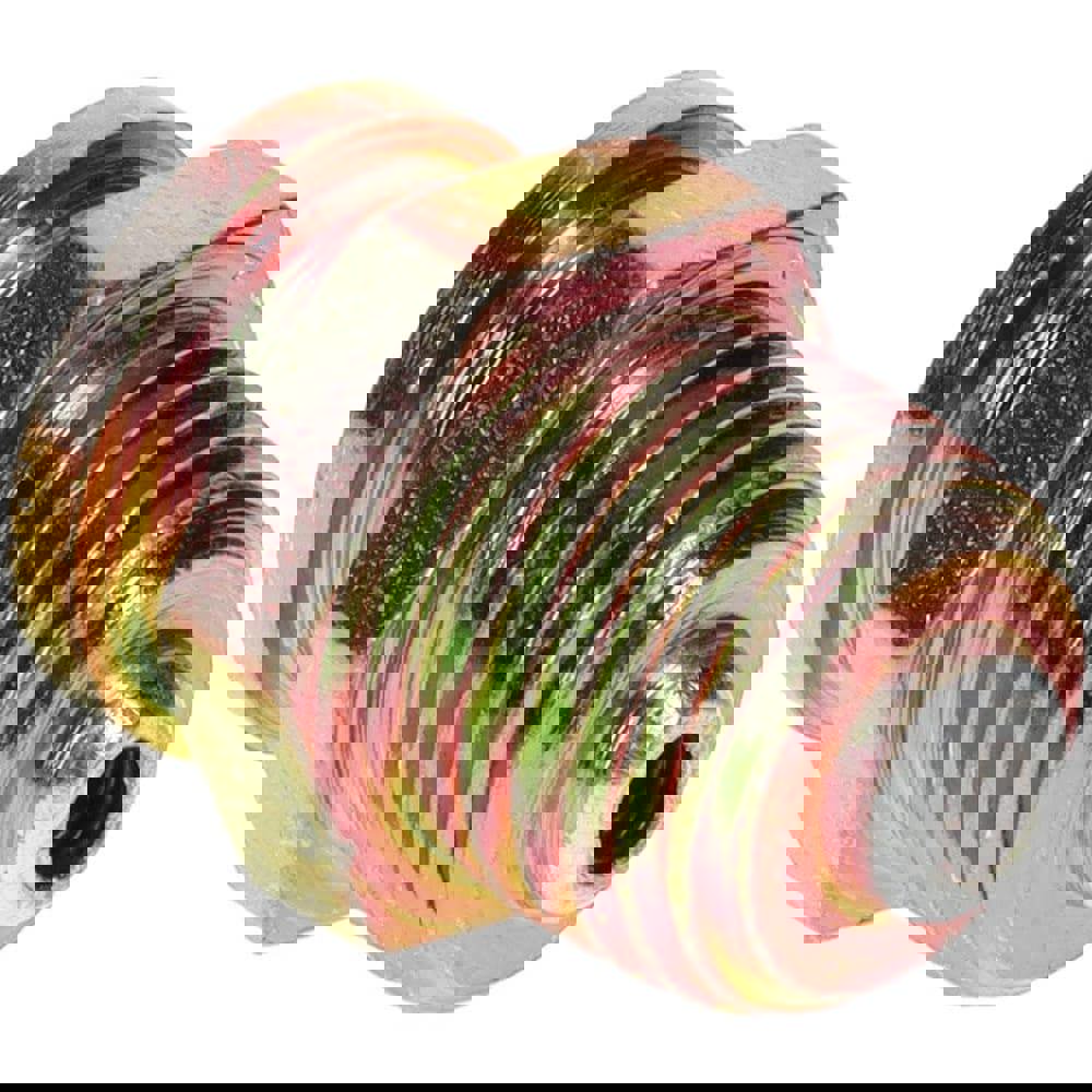 Button-Head Grease Fitting: 1/4